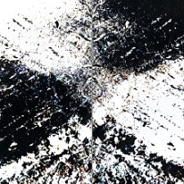 135-_DSC4114-1