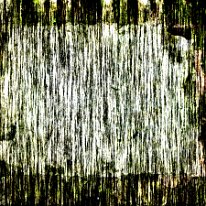144-20250407_0419