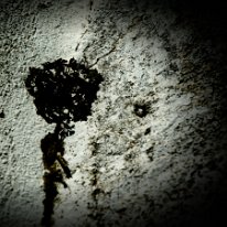 _DSC0914