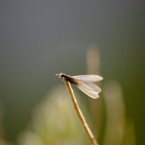 055-DSC_0001