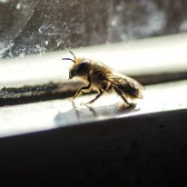 _DSC0866