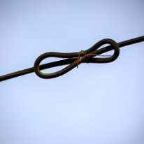 _DSC0882