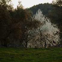 _DSC0696