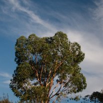 _DSC3392