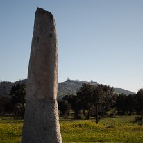 _DSC4331-1