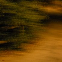 DSCN3015