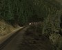 Feather_grain_26